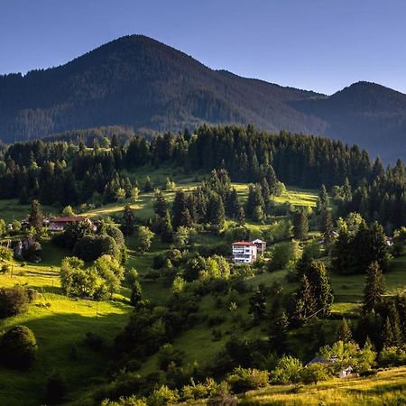 Guest House Panorama Гела Экстерьер фото