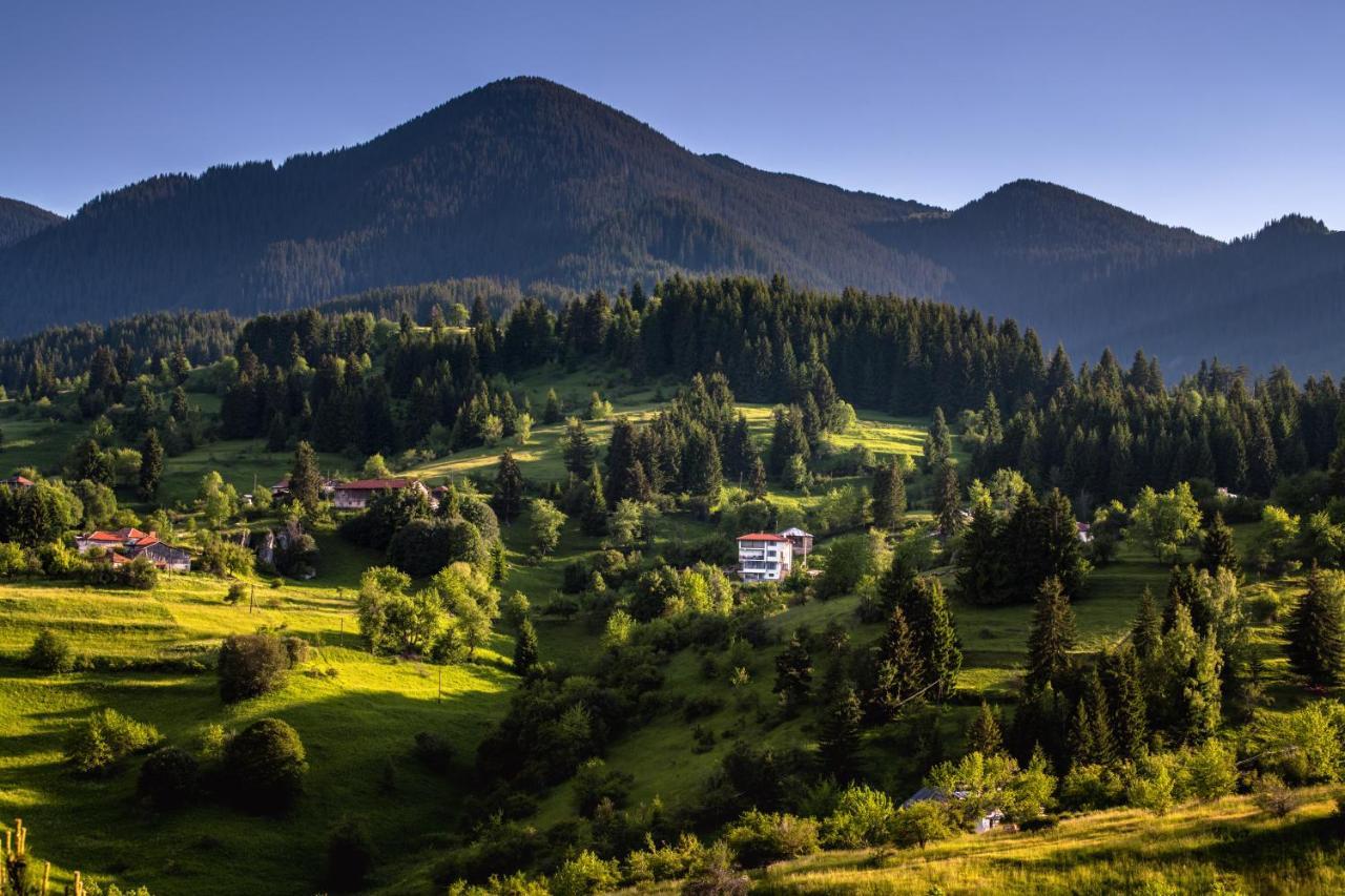 Guest House Panorama Гела Экстерьер фото