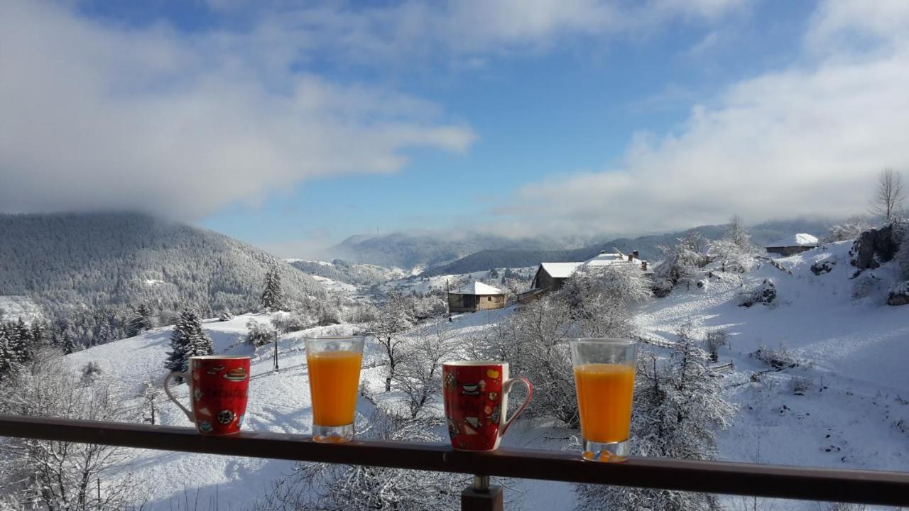 Guest House Panorama Гела Экстерьер фото